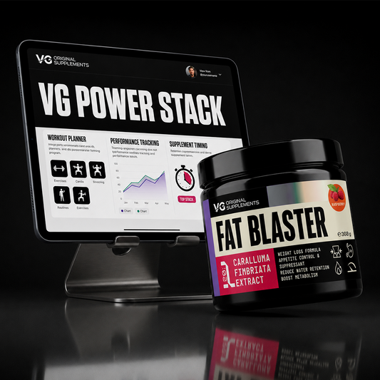 VG POWER STACK: Fat Blaster + тренировъчна програма
