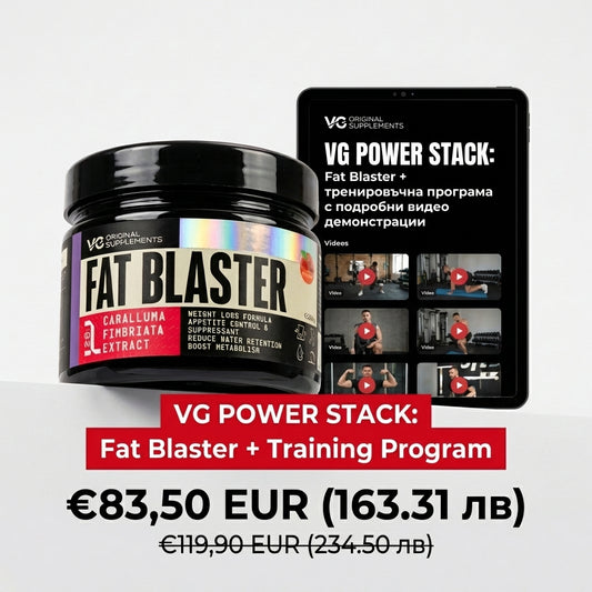 VG POWER STACK: Fat Blaster + тренировъчна програма